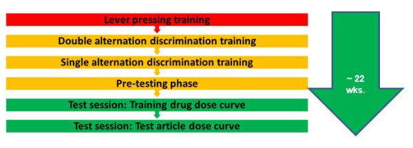 Image of the Timeline of In-Life Phase of the Drug Discrimination Test